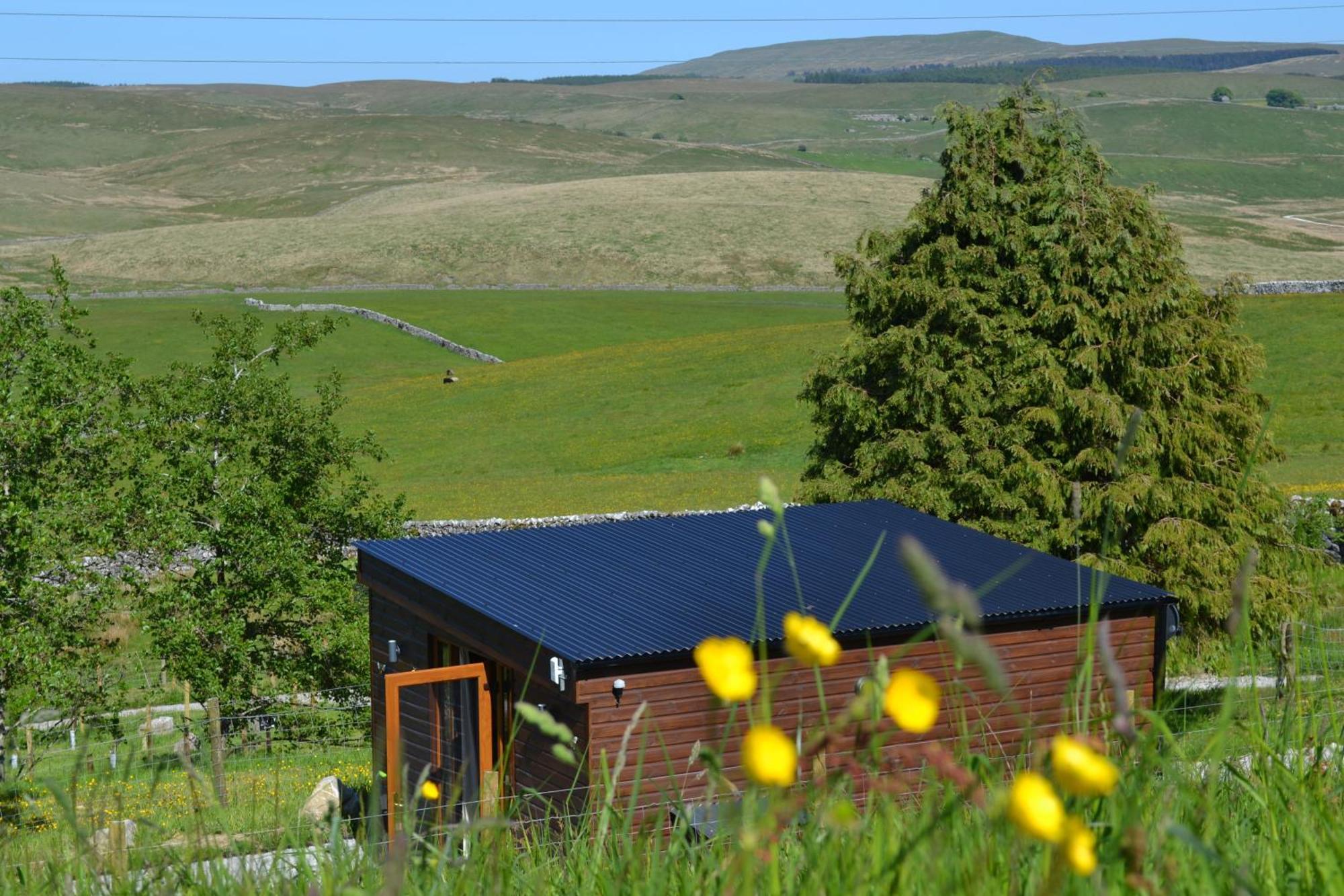 The Warren Lodge Cabin At Ashes Farm, Near 塞特尔 外观 照片